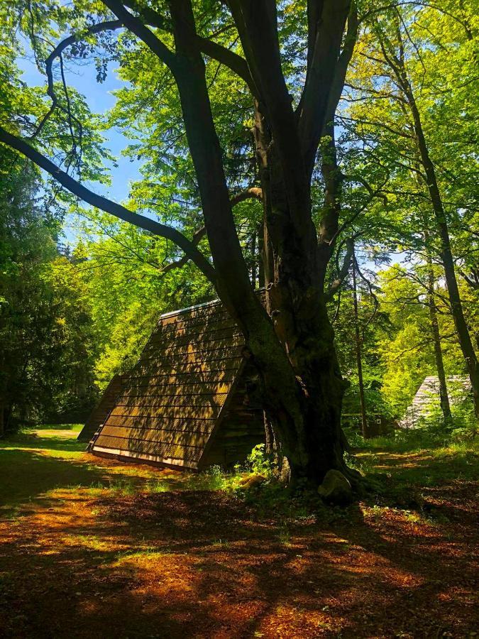 Lesny Dwor Villa Janowice Wielkie Dış mekan fotoğraf