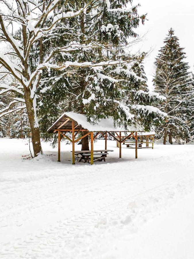 Lesny Dwor Villa Janowice Wielkie Dış mekan fotoğraf