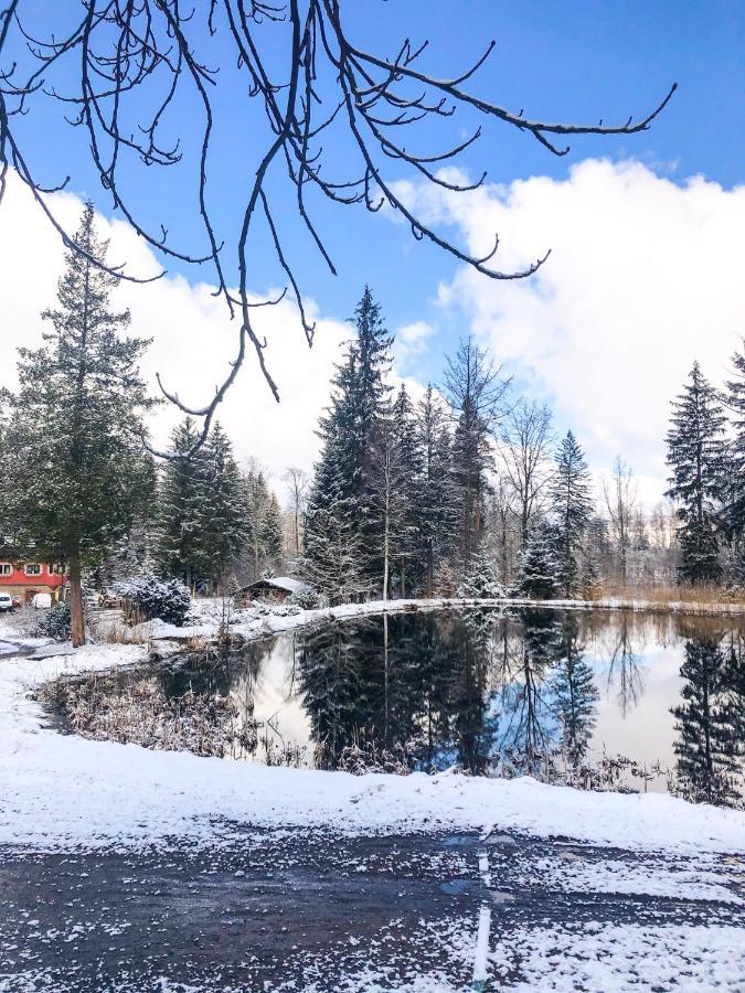 Lesny Dwor Villa Janowice Wielkie Dış mekan fotoğraf