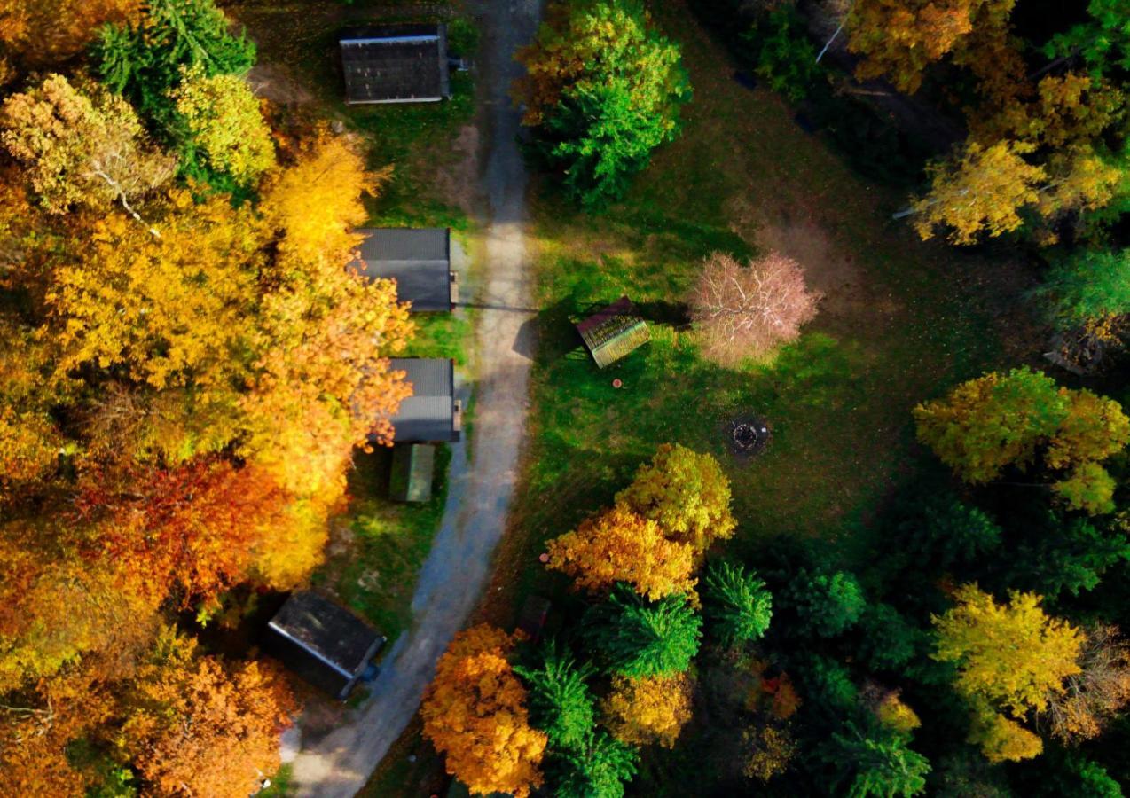 Lesny Dwor Villa Janowice Wielkie Dış mekan fotoğraf