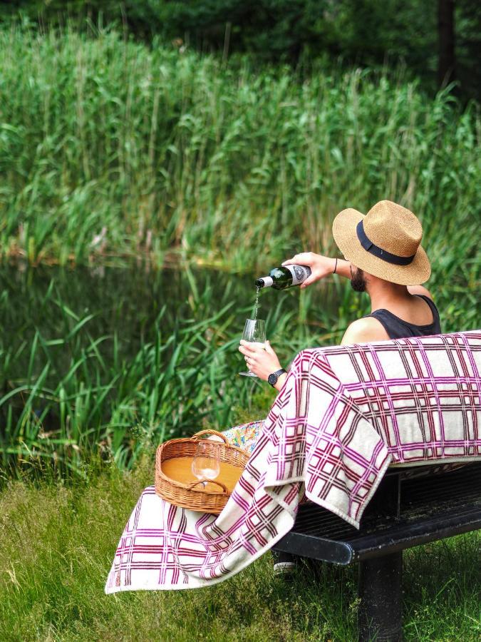 Lesny Dwor Villa Janowice Wielkie Dış mekan fotoğraf