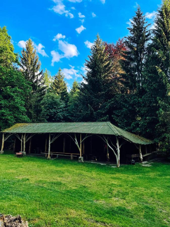 Lesny Dwor Villa Janowice Wielkie Dış mekan fotoğraf