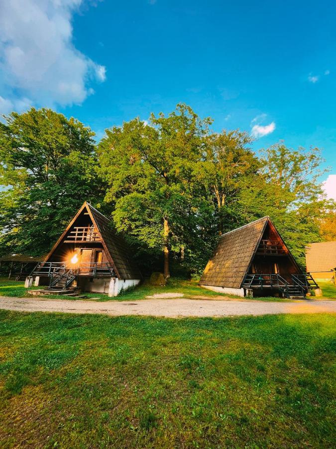 Lesny Dwor Villa Janowice Wielkie Dış mekan fotoğraf
